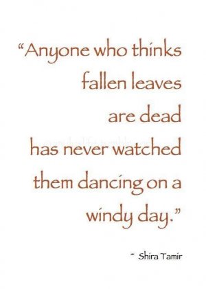 30 Fall Quotes To Prove Autumn Is The Best Season.jpeg