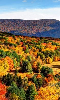 dc8bd69eb410a11902adb7c0d3097dd3[1].jpg