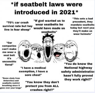 Seatbelts.jpg