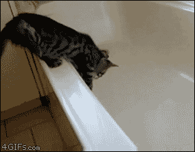 tumblr_macnnnL8xz1rexgvto1_400.gif