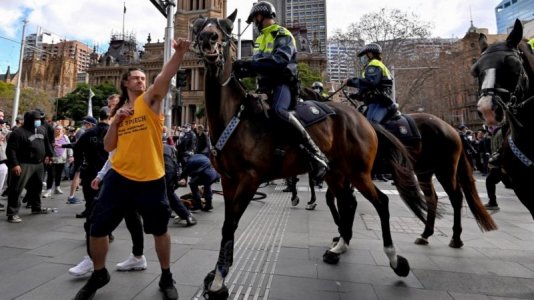 hitting horse.jpg