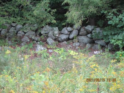 Stone Wall.JPG