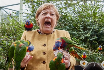 merkel.jpg