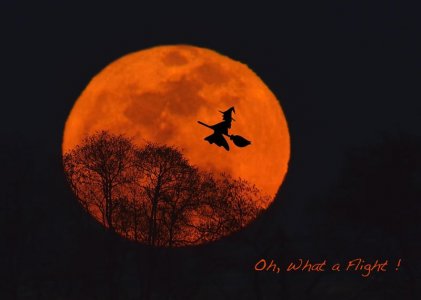 witchmoon.jpg