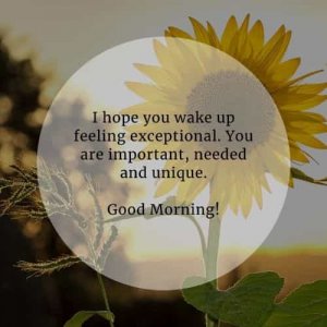 Beautiful-good-morning-inspirational-quotes-and-sayings (10)-min.jpg