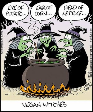 vegan witches.jpg