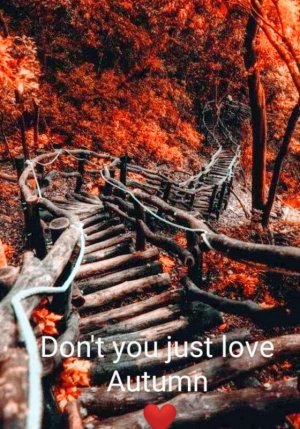 dontyouloveaut.jpg