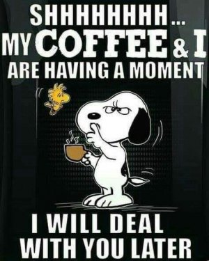8C84F1FC-1BC4-4E08-AB50-83D3B8D7E80F.jpeg