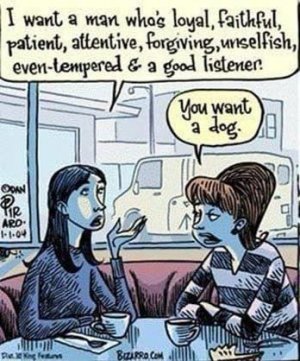want a dog.jpg