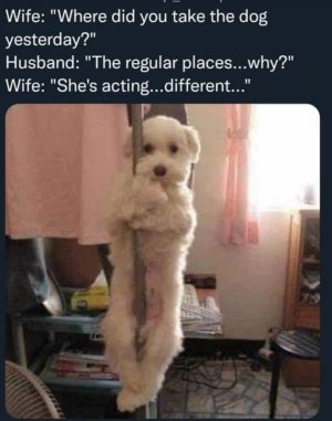E27D7311-3C99-4A5E-A296-B5D3930E827F.jpeg