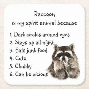 raccoonspiritanimal.jpg