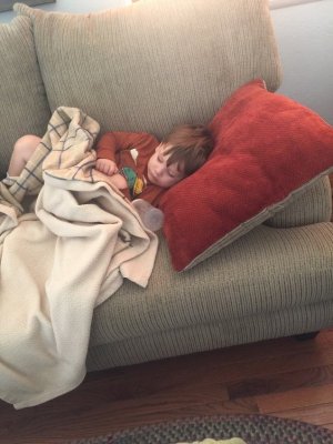 zzz.jpg