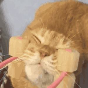 3f1e385b00e2f74de77b5f92b43fe230.gif