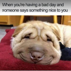 0F035D8E-5EC3-417B-BEEC-649BA91C6460.jpeg