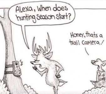 Trail camera.jpg