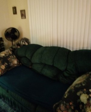 couchsuzy921a.jpg