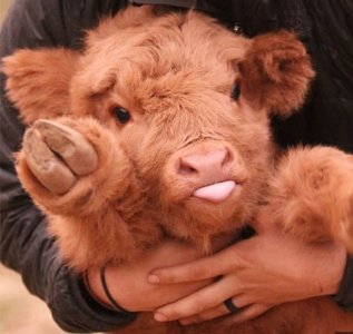 animalcuteness092721.jpg