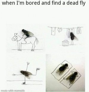 243434803_338124487997994_2126130824159983365_n.jpg