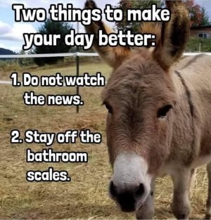 twothings.jpg