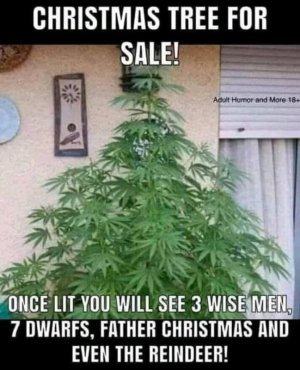 FB_IMG_16322664707294356.jpg