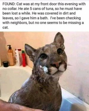 FB_IMG_16317035994474690.jpg