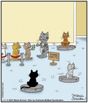 Maria-Scrivans-brilliant-comics-will-make-you-smile-today-60e6b544d0524__700.jpg