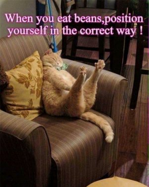 FB_IMG_16309095830055583.jpg