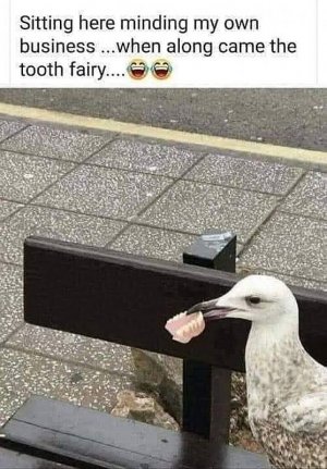 funnypics093021.jpg