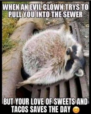 FB_IMG_16330034896972628.jpg