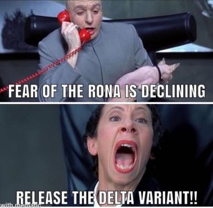 covid delta meme.jpg