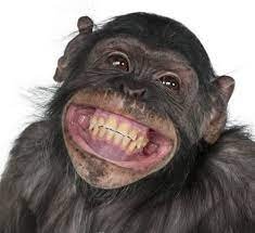 Big smile - South Yarra Dental Group