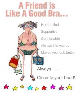 good bra.jpg