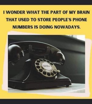 seniorhumor100121.jpg