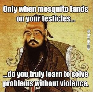 mosquito.jpg