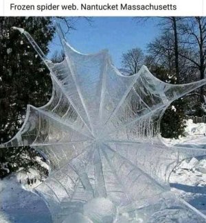 vagariesofnatore100121.jpg