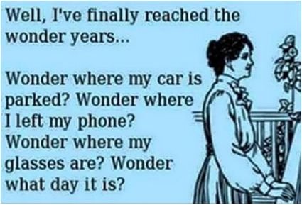 wonder years.jpg