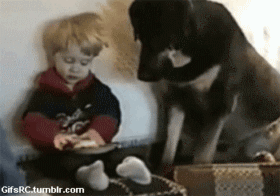 tumblr_mq1qy6Awpr1snmpfxo1_400.gif tumblr_mq1qy6Awpr1snmpfxo1_400.gif