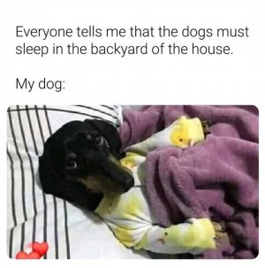 FB_IMG_16330023984334301.jpg