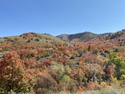 IMG_2581.jpg
