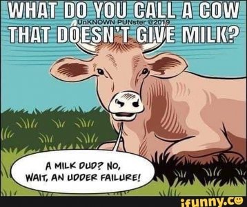 jokes100321.jpg