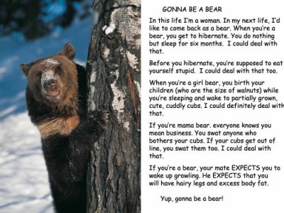 1bear.jpg
