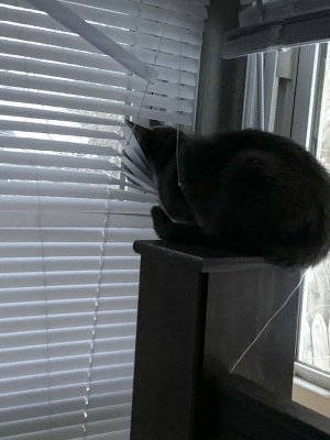 4D00812A-2C10-40A9-8438-7B8E45382988.jpeg