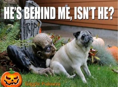 halloween 00.jpg