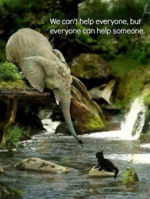 randomacts100421.jpg