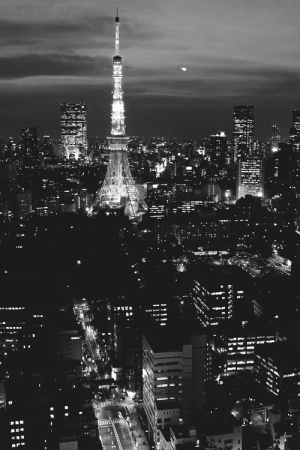 7c73d991e51d00ea5ad9769f06fd1ba0.gif