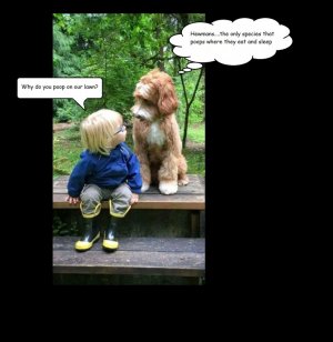 boy and dog.jpg