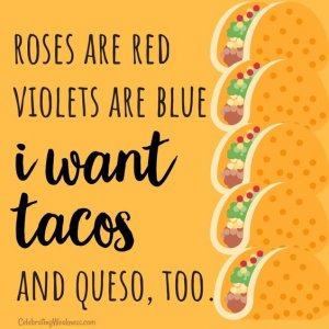 5b92c385b2c73faf99f71551f9e49647[1].jpg