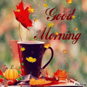 7f346c5b1a3d262fe6ee1b83ab6efaf1.gif