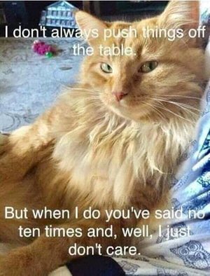 FB_IMG_16334370926839319.jpg