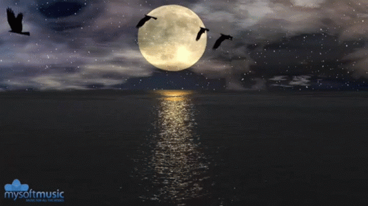 MOON.gif